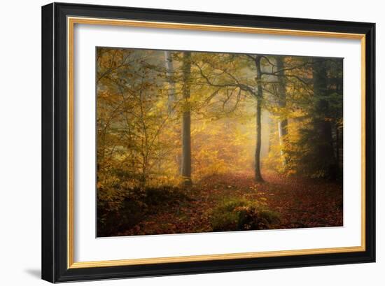 Autumn Trees-Norbert Maier-Framed Giclee Print