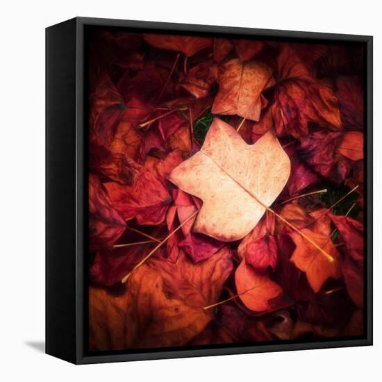 Autumn Trend-Philippe Sainte-Laudy-Framed Premier Image Canvas