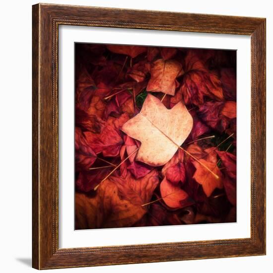 Autumn Trend-Philippe Sainte-Laudy-Framed Photographic Print