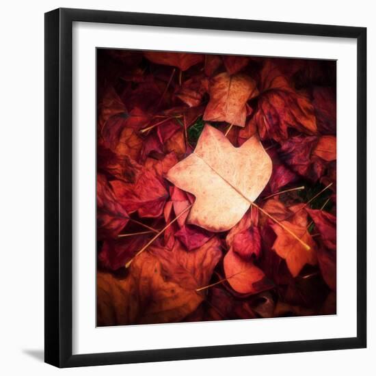 Autumn Trend-Philippe Sainte-Laudy-Framed Photographic Print