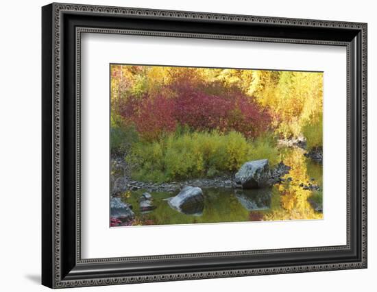 Autumn, Tumwater Canyon, Wenatchee National Forest, Washington State, USA-Michel Hersen-Framed Photographic Print