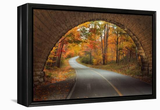 Autumn Tunnel Vision-Vincent James-Framed Premier Image Canvas