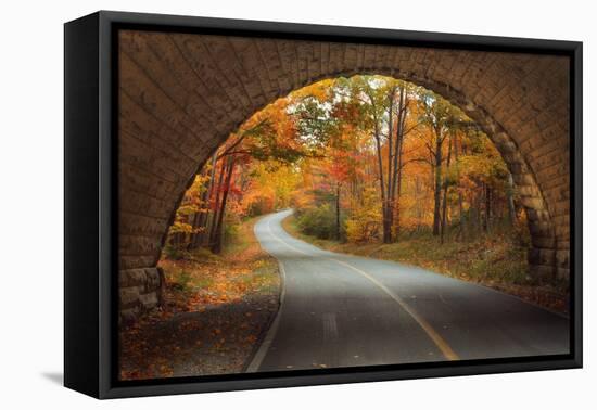 Autumn Tunnel Vision-Vincent James-Framed Premier Image Canvas