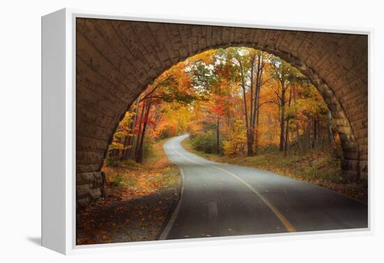 Autumn Tunnel Vision-Vincent James-Framed Premier Image Canvas