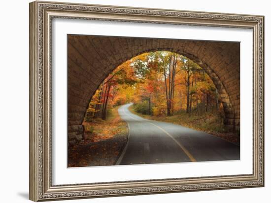 Autumn Tunnel Vision-Vincent James-Framed Photographic Print