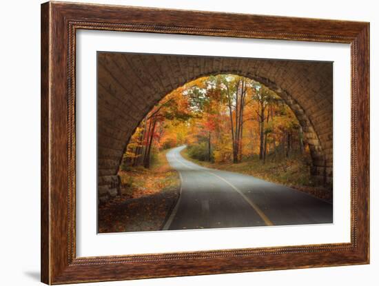 Autumn Tunnel Vision-Vincent James-Framed Photographic Print