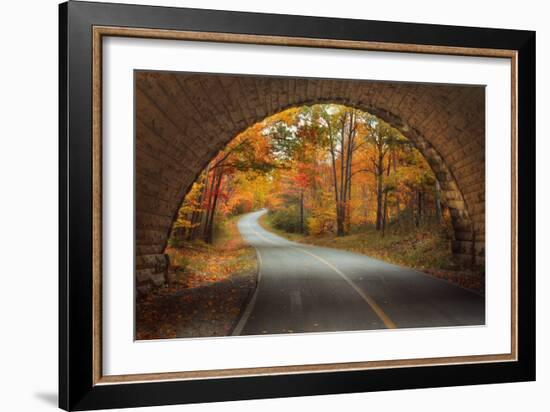 Autumn Tunnel Vision-Vincent James-Framed Photographic Print