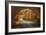 Autumn Tunnel Vision-Vincent James-Framed Photographic Print