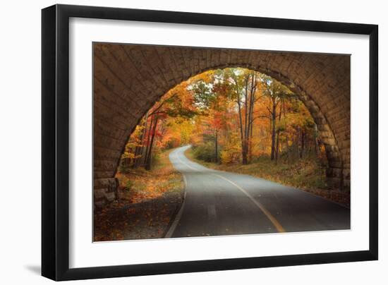 Autumn Tunnel Vision-Vincent James-Framed Photographic Print