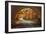 Autumn Tunnel Vision-Vincent James-Framed Photographic Print