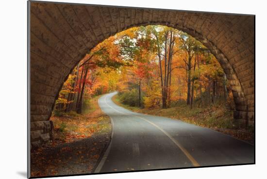 Autumn Tunnel Vision-Vincent James-Mounted Photographic Print