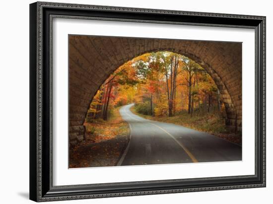 Autumn Tunnel Vision-Vincent James-Framed Photographic Print