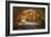 Autumn Tunnel Vision-Vincent James-Framed Photographic Print