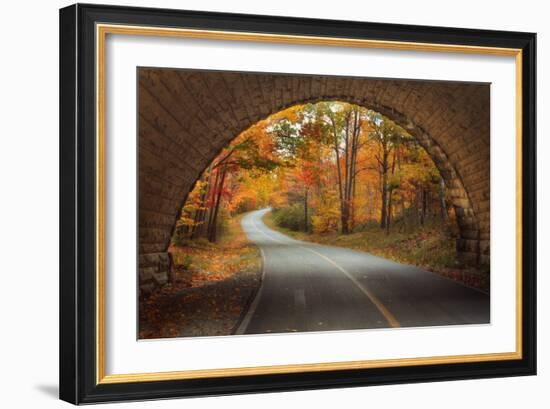 Autumn Tunnel Vision-Vincent James-Framed Photographic Print