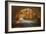 Autumn Tunnel Vision-Vincent James-Framed Photographic Print