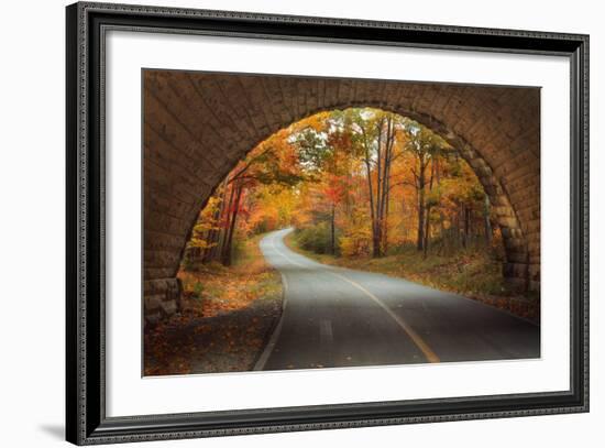 Autumn Tunnel Vision-Vincent James-Framed Photographic Print