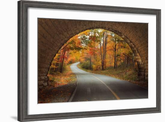 Autumn Tunnel Vision-Vincent James-Framed Photographic Print