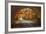 Autumn Tunnel Vision-Vincent James-Framed Photographic Print