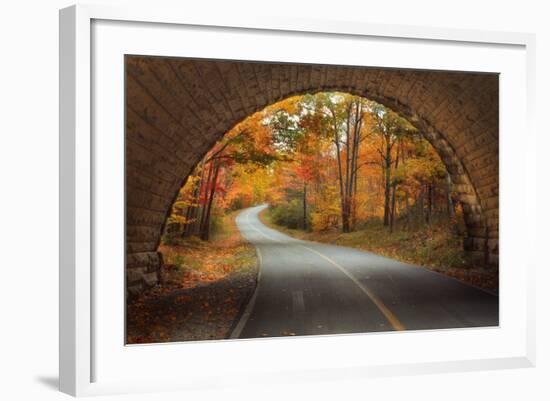 Autumn Tunnel Vision-Vincent James-Framed Photographic Print
