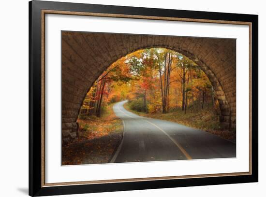 Autumn Tunnel Vision-Vincent James-Framed Photographic Print