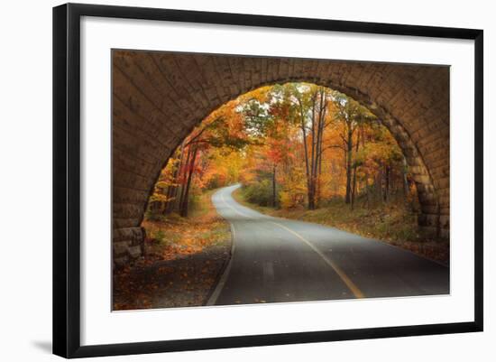 Autumn Tunnel Vision-Vincent James-Framed Photographic Print