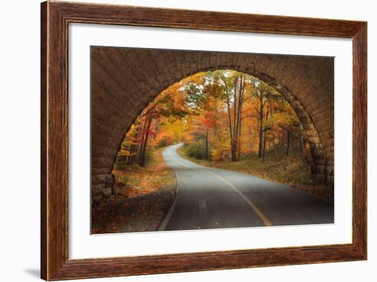 Autumn Tunnel Vision-Vincent James-Framed Photographic Print