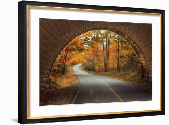 Autumn Tunnel Vision-Vincent James-Framed Photographic Print