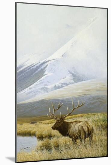 Autumn Uprights, Elk-Michael Budden-Mounted Giclee Print