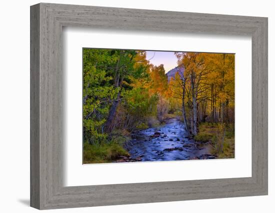 Autumn View in Bishop Creek Canyon, Yosemite California-Vincent James-Framed Photographic Print