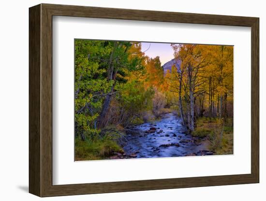 Autumn View in Bishop Creek Canyon, Yosemite California-Vincent James-Framed Photographic Print