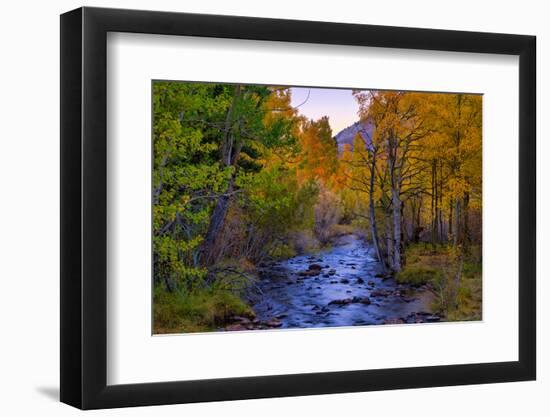 Autumn View in Bishop Creek Canyon, Yosemite California-Vincent James-Framed Photographic Print