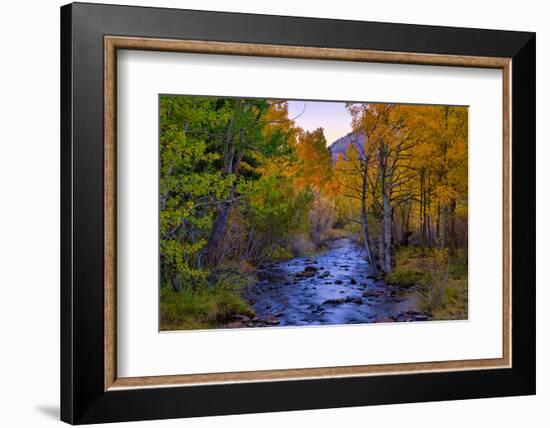 Autumn View in Bishop Creek Canyon, Yosemite California-Vincent James-Framed Photographic Print