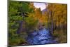 Autumn View in Bishop Creek Canyon, Yosemite California-Vincent James-Mounted Photographic Print