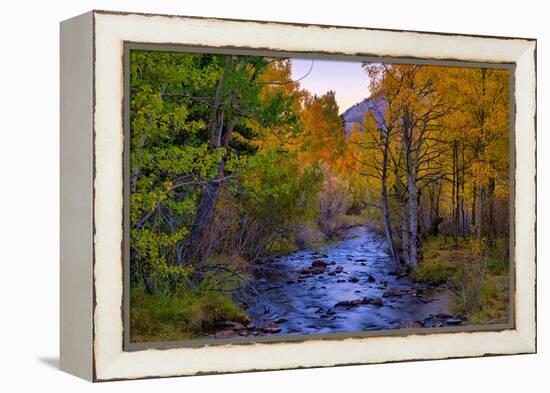 Autumn View in Bishop Creek Canyon, Yosemite California-Vincent James-Framed Premier Image Canvas