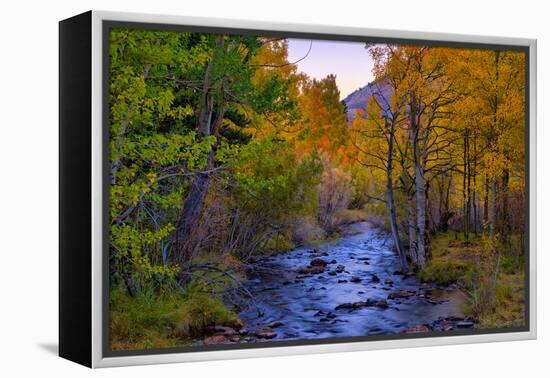 Autumn View in Bishop Creek Canyon, Yosemite California-Vincent James-Framed Premier Image Canvas