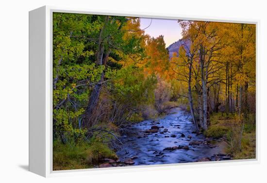 Autumn View in Bishop Creek Canyon, Yosemite California-Vincent James-Framed Premier Image Canvas