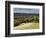 Autumn View North Along the Burford Spur of Box Hill, Surrey Hills, North Downs, Dorking, Surrey, E-John Miller-Framed Photographic Print