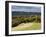 Autumn View North Along the Burford Spur of Box Hill, Surrey Hills, North Downs, Dorking, Surrey, E-John Miller-Framed Photographic Print