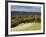 Autumn View North Along the Burford Spur of Box Hill, Surrey Hills, North Downs, Dorking, Surrey, E-John Miller-Framed Photographic Print