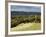 Autumn View North Along the Burford Spur of Box Hill, Surrey Hills, North Downs, Dorking, Surrey, E-John Miller-Framed Photographic Print