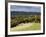 Autumn View North Along the Burford Spur of Box Hill, Surrey Hills, North Downs, Dorking, Surrey, E-John Miller-Framed Photographic Print