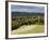 Autumn View North Along the Burford Spur of Box Hill, Surrey Hills, North Downs, Dorking, Surrey, E-John Miller-Framed Photographic Print