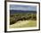 Autumn View North Along the Burford Spur of Box Hill, Surrey Hills, North Downs, Dorking, Surrey, E-John Miller-Framed Photographic Print