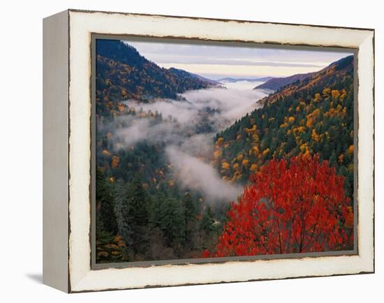 Autumn View of Fog from Morton Overlook, Great Smoky Mountains National Park, Tennessee, USA-Adam Jones-Framed Premier Image Canvas