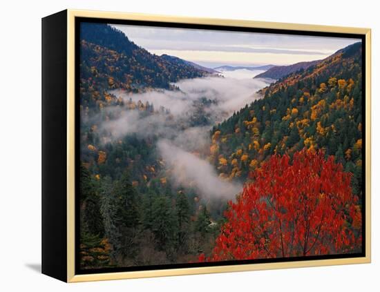 Autumn View of Fog from Morton Overlook, Great Smoky Mountains National Park, Tennessee, USA-Adam Jones-Framed Premier Image Canvas