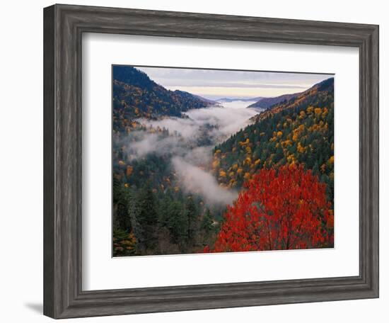 Autumn View of Fog from Morton Overlook, Great Smoky Mountains National Park, Tennessee, USA-Adam Jones-Framed Photographic Print