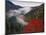 Autumn View of Fog from Morton Overlook, Great Smoky Mountains National Park, Tennessee, USA-Adam Jones-Mounted Photographic Print