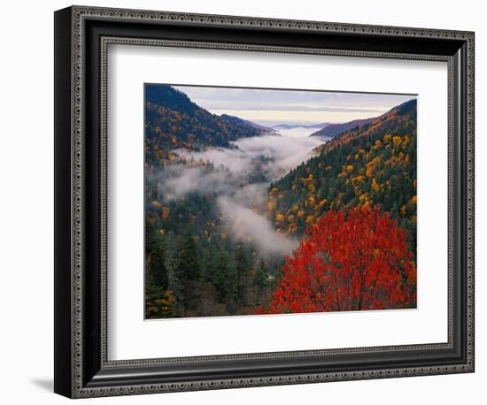 Autumn View of Fog from Morton Overlook, Great Smoky Mountains National Park, Tennessee, USA-Adam Jones-Framed Photographic Print