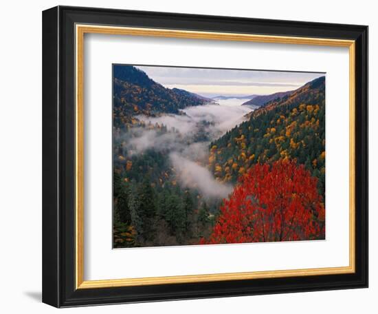 Autumn View of Fog from Morton Overlook, Great Smoky Mountains National Park, Tennessee, USA-Adam Jones-Framed Photographic Print