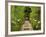 Autumn View of Longwood Gardens, Pennsylvania, Usa-Adam Jones-Framed Photographic Print